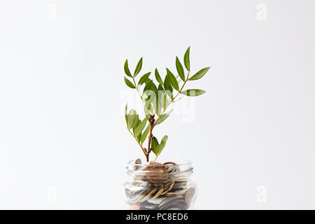 Le monete in un barattolo di vetro con pianta crescente isolato su bianco Foto Stock