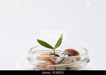 Inquadratura ravvicinata delle varie monete in mason jar con crescente germoglio isolato su bianco Foto Stock