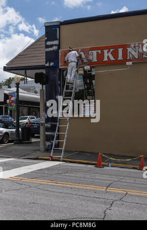 Pittore sulla scala nel supporto Dora, Florida SA Foto Stock