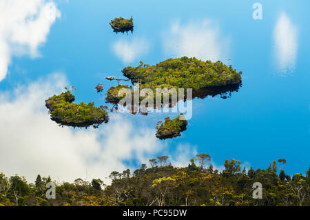 Luna di miele nelle isole Colomba lago ai piedi di Cradle Mountain. Foto Stock