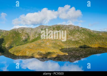 Mornig riflessioni di Colomba lago a Cradle Mountain. Foto Stock