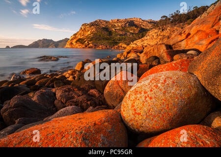 La prima luce del giorno a Sleepy Bay nel Parco Nazionale di Freycinet. Foto Stock