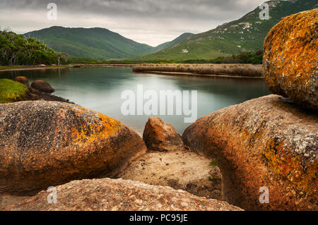 Colorato di lichene, rocce coperte al fiume di marea in Wilsons Promontory National Park. Foto Stock