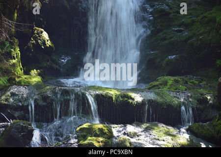 Dickson Falls, Fundy National Park in New Brunswick, Canada Foto Stock