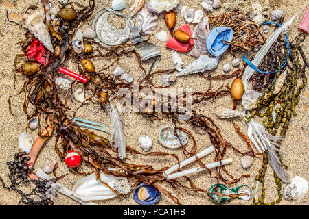 Plastica reale inquinamento che si trova sulla spiaggia con spiaggia naturale di alghe e conchiglie, spazio per il testo Foto Stock