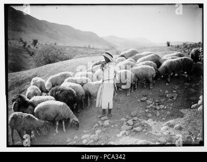 Agricoltura, ecc. Pastore scene. Scena pastorale nella valle del Giordano. Pastorello a giocare per le sue pecore Foto Stock