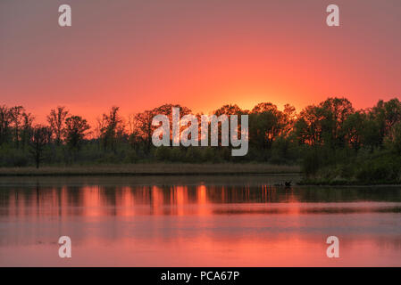 Tramonto, Crex Prati Wildlife Management Area, WI, Stati Uniti d'America, di Dominique Braud/Dembinsky Foto Assoc Foto Stock