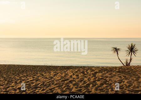 Spiaggia di Le Barcarès, Pyrenees-Orientales Reparto, Occitanie, Francia Foto Stock