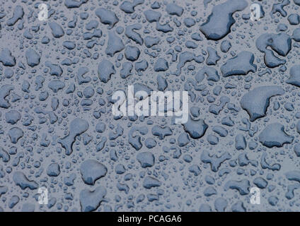 Un abstract di ripresa macro di gocce di pioggia in appoggio su un materiale metallico blu superficie. Foto Stock
