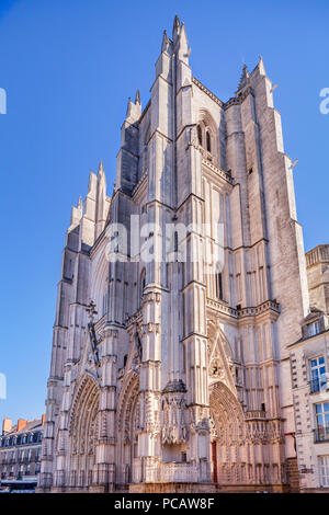 Cattedrale di Saint Pierre e Saint Paul, Nantes, Loire Atlantique, Francia. Foto Stock