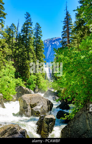 Merced River paesaggio nel Parco Nazionale di Yosemite. Mormorando di un ruscello. In California, Stati Uniti d'America. Foto Stock