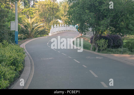 Strada curva Foto Stock