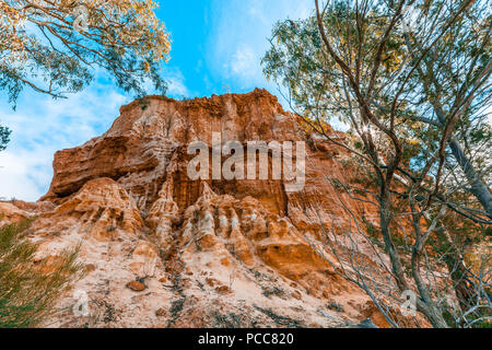 Erodendo scogliere di arenaria sulle rive del fiume Murray in Sud Australia Foto Stock