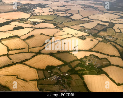 Le riarse campi vicino a Stansted,Essex,Mercoledì 1 Agosto 2108 dopo l'ondata di caldo di quest'estate.Oggi gli agricoltori sono in possesso di un vertice della siccità con il governo. Il sindacato nazionale degli agricoltori (NFU) incontrerà funzionari a Londra oggi (MER) per discutere "polveriera" le condizioni che hanno ridotto la crescita di erba e di "uranio' alcuni rese. NFU presidente Minette pastelle detto lei proverà ad impressionare su ambiente segretario Michael Gove presso la "estremamente importante" colloqui sfide che gli agricoltori si trovano di fronte a seguito della grave mancanza di pioggia. Foto Stock