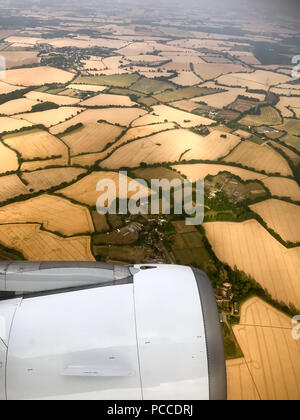 Le riarse campi vicino a Stansted,Essex,Mercoledì 1 Agosto 2108 dopo l'ondata di caldo di quest'estate.Oggi gli agricoltori sono in possesso di un vertice della siccità con il governo. Il sindacato nazionale degli agricoltori (NFU) incontrerà funzionari a Londra oggi (MER) per discutere "polveriera" le condizioni che hanno ridotto la crescita di erba e di "uranio' alcuni rese. NFU presidente Minette pastelle detto lei proverà ad impressionare su ambiente segretario Michael Gove presso la "estremamente importante" colloqui sfide che gli agricoltori si trovano di fronte a seguito della grave mancanza di pioggia. Foto Stock