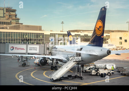 Francoforte, Germania - Luglio 3th, 2018: vista posteriore di una Lufthansa Airbus A320 con una jetway attaccata e caricatori carrello lavora intorno a Francoforte sul Meno un Foto Stock