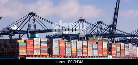 Caricamento / scaricamento dei contenitori al porto di Felixstowe che gestisce il 42% della British traffico containerizzato sotto pre Brexit accordo di libero scambio regole Foto Stock