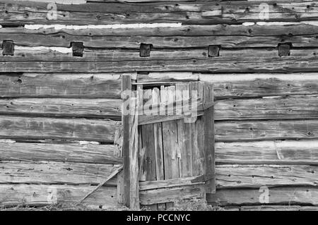 Weathered grungy old log cabin parete con la vecchia porta di legno sfondo bw Foto Stock