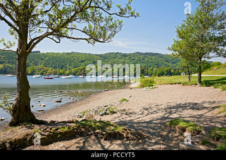 Cockshott Point Park presso il lago in estate Bowness on Windermere Lake District National Park Cumbria Inghilterra Regno Unito GB Gran Bretagna Foto Stock