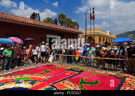 Alfrombras per la Settimana Santa durante la processione, la Città di Antigua, Guatemala, America Centrale Foto Stock