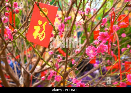 Fiore di Ciliegio alberi con Lai vedere buste rosse per il Capodanno cinese di Hong Kong, Cina, Asia Foto Stock