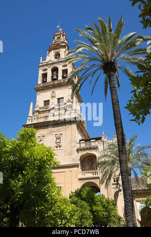 Torre del Alminar torre campanaria della Mezquita visto dal Patio de los Naranjos, Cordoba, Andalusia, Spagna, Europa Foto Stock