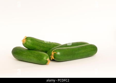 Fresche quattro cetrioli verdi su sfondo bianco Foto Stock