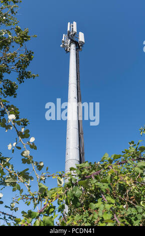 Altezza montante di cellulari o antenna, a telefoni cellulari trasmettitore della stazione base nel Regno Unito, contro il cielo blu. Foto Stock