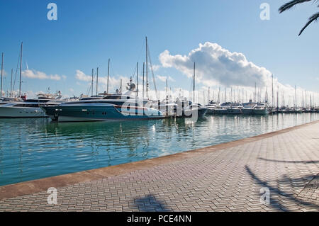 PALMA DE MALLORCA, Spagna - 9 Novembre 2011: Luxury Yacht ormeggiati lungo il Paseo Maritimo il 9 novembre 2011 a Palma di Maiorca, isole Baleari, Foto Stock