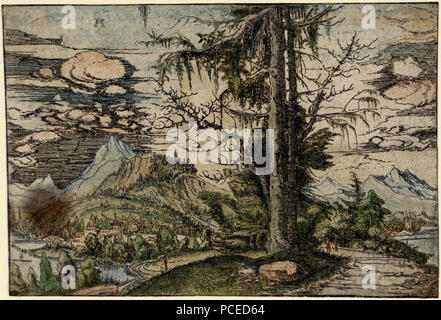 33 Albrecht Altdorfer - Paesaggio con un doppio abete (colorate a mano) Albertina DG1926-1782 Foto Stock