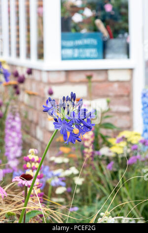 Un percorso per il futuro mostrano dettagli giardino ad RHS Tatton Park flower show 2018, Cheshire, Regno Unito Foto Stock