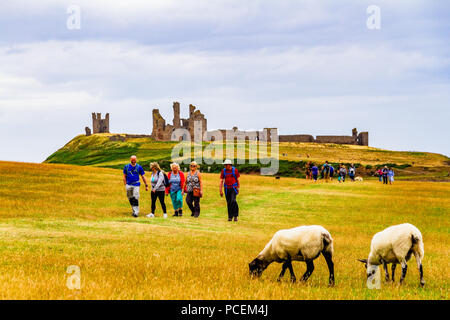 Walkers passando il castello di Dunstanburgh lungo la costa di Northumberland percorso durante il 2018 canicola estiva, Dunstanburgh, nr Craster, Northumberland, Regno Unito. Foto Stock