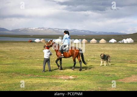 Il cavallo intorno ger camp in un grande prato al Song kul lago , Naryn del Kirghizistan Foto Stock