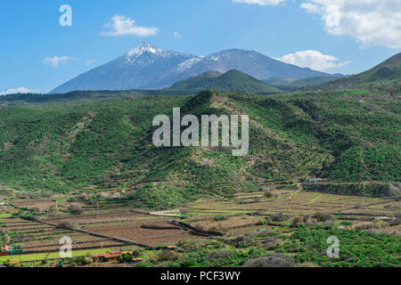 Vulcano Teide e Parco Nazionale di Teide, Tenerife, Isole Canarie, Spagna Foto Stock