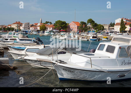 Porto, Biograd na Moru, Dalmazia, Croazia, Porto Foto Stock