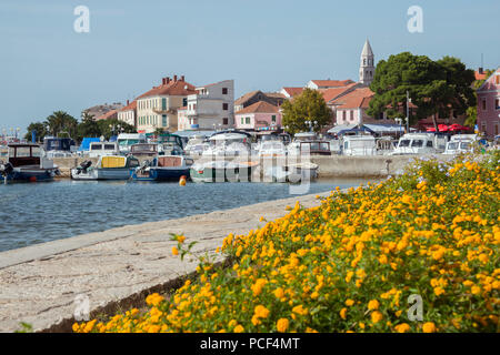 Porto, Biograd na Moru, Dalmazia, Croazia, Porto Foto Stock