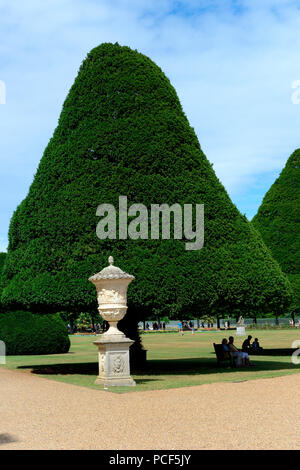 Eiben in Formschnitt, Eibenallee, Taxus baccata, Hampton Court Palace, Inghilterra, Grossbritannien, Europa, Formschnitteibe Foto Stock