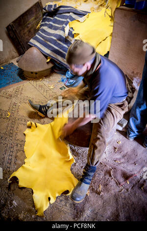 Lavoratore lavorando sulla pelle, morendo, conceria, Tannerie Chouara, Tanner e dyer trimestre, Fes el Bali, Fes, il Regno del Marocco Foto Stock