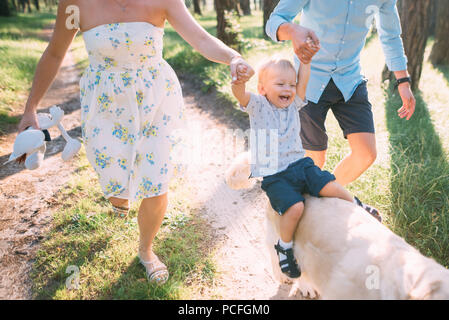 Una simpatica famiglia - mamma, papà e figlio spendere tempo di divertimento all'aperto con il loro cane. Foto Stock