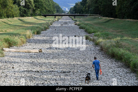 Marzo, Germania. 01 Ago, 2018. Un uomo cammina il suo cane a secco alveo del Dreisam. A causa del calore e della siccità delle ultime settimane il Dreisam è completamente scomparsa. Credito: Patrick Seeger/dpa/Alamy Live News Foto Stock