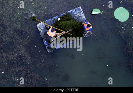 Shenyan, Shenyan, Cina. 2 agosto, 2018. Shenyang, Cina-lavoratori clean up waterweeds lungo un canale di Shenyang, a nord-est della Cina di Provincia di Liaoning. Credito: SIPA Asia/ZUMA filo/Alamy Live News Foto Stock