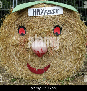 Durrow, Co Laois, Irlanda. Il 2 agosto, 2018. Uno spaventapasseri presentano sul display nel villaggio di Durrow, Co Laois, come parte dell'annuale Festival spaventapasseri che corre fino a questo fine settimana. Credito: Laura Hutton/Alamy Live News Foto Stock