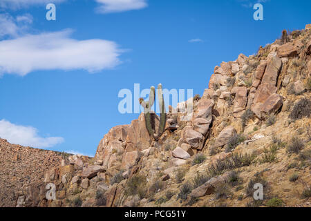 Santa Rosa de Tastil Village montagne e Cardones Cactus - Santa Rosa de Tastil, Salta, Argentina Foto Stock