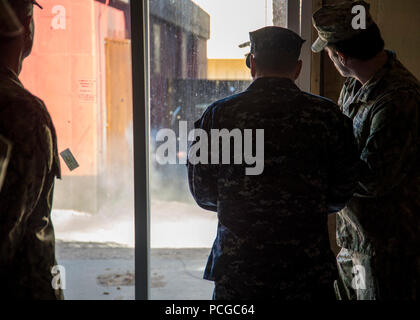 VIRGINIA BEACH, Va. (marzo. 13, 2013) Adm. Bill Gortney, comandante della U.S. Le forze della flotta, fanno esplodere un dispositivo esplosivo durante la sua visita al giunto di base Expeditionary poco Creek-Fort Storia Marzo 13. Stati Uniti Navy EOD è il mondo del premier forza di combattimento per contrastare i rischi di esplosione e condurre immersioni expeditionary e recupero. Foto Stock