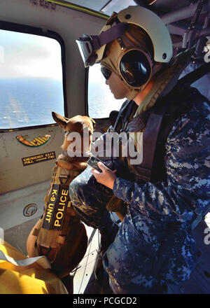 NAVAL AIR FACILITY Atsugi, Giappone (nov. 18, 2013) - militari cane da lavoro (MWD) nega e il suo gestore master-at-Arms marinaio Nicholas venditori, entrambi della Naval Air Facility (NAF) Atsugi navale della forza di protezione, guardare fuori dalla finestra di un MH-60s Seahawk elicottero durante un' antenna esercizio per K-9 unità. Atsugi NAF's MWDs sono in fase di preparazione la formazione per le future distribuzioni mediante accumulo di profumi, il movimento e la sensazione di cavalcare in, ed essendo circa gli elicotteri. Foto Stock