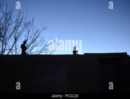 Provincia di Logar, Afghanistan (16 febbraio 2014)-Due esercito nazionale afghano delle forze speciali commandos attaccata al 8 Operazioni Speciali Kandak stand over-guarda nel villaggio di Babus, pul-E-Alam distretto, provincia di Logar, Feb 16. Il Commandos erano nel villaggio di condurre una presenza di pattugliamento e di host a shura per introdurre i residenti della nuova Babus Afghan capo della polizia locale, la Cmdr. Reshad. Foto Stock