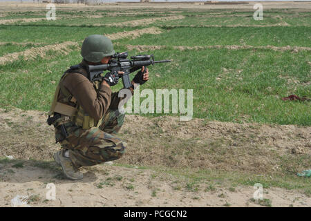 Un esercito nazionale afghano delle forze speciali Commando esegue la scansione di un campo aperto durante un Afgano congiunta delle forze di polizia locali ANASF, e la coalizione di forze per le operazioni speciali di sicurezza in pattuglia Latif distretto, provincia di Ghazni, Afghanistan, 3 aprile. Pattuglie di sicurezza vengono utilizzati per coinvolgere enti locali afgani e garantire la sicurezza e la stabilità in seno alla loro comunità. Foto Stock