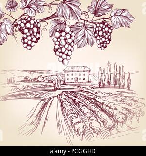 Vitigno, vigneto, uva disegnati a mano illustrazione vettoriale disegno realistico Illustrazione Vettoriale