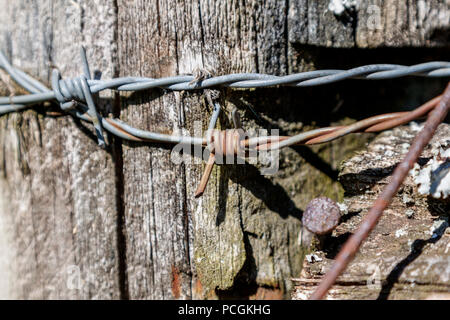 Close-up di filo spinato e chiodi in un recinto a spiovente post a un pascolo nei pressi di Knoxville, Tennessee. Foto Stock