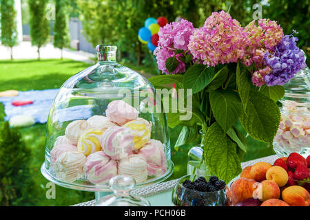 Candy bar di frutti, bacche e marshmallows per una festa. Tabella di festa con dolci e snack fruttato Foto Stock
